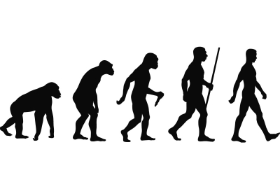 Ինչպես է փոփոխության ենթարկվել մարդու օրգանիզմն էվոլյուցիայի ընթացքում