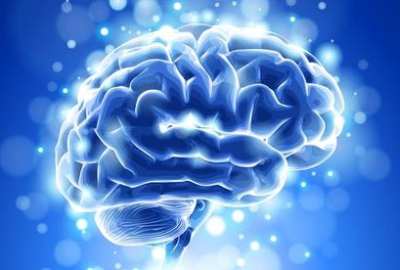 Инновационная модель мозга обещает вывести работу врачей на новый уровень