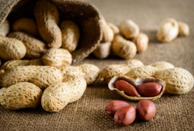 Gut Bacteria Could Provide Peanut Allergy Protection