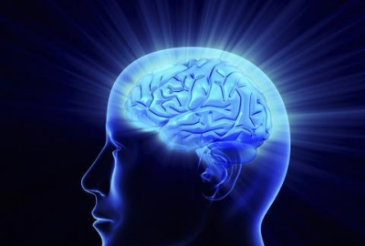 Կարդիոմարզումները դրականորեն են անդրադառնում գլխուղեղի աշխատանքի վրա