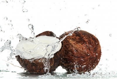 Coconut In Modern Medicine